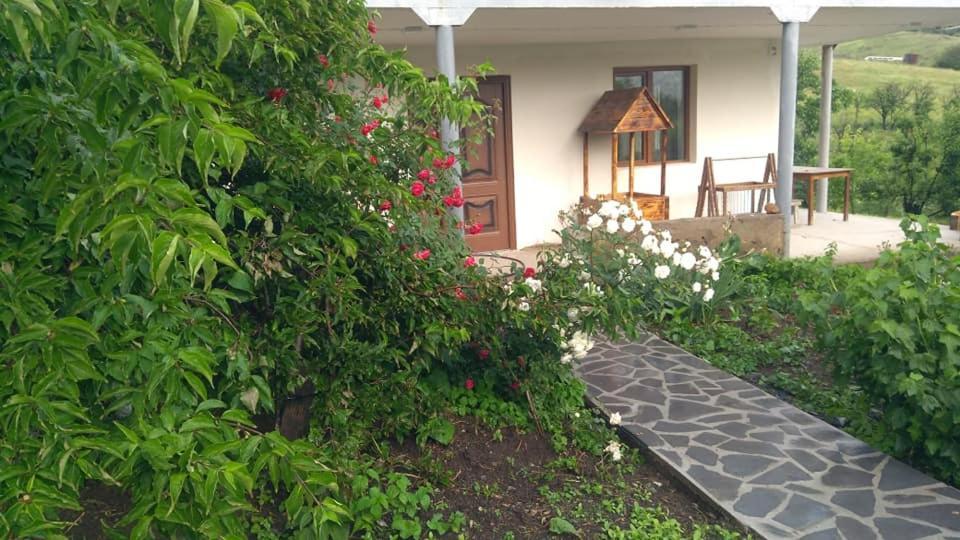 Amoj B&B And Guest House ألافيردي المظهر الخارجي الصورة