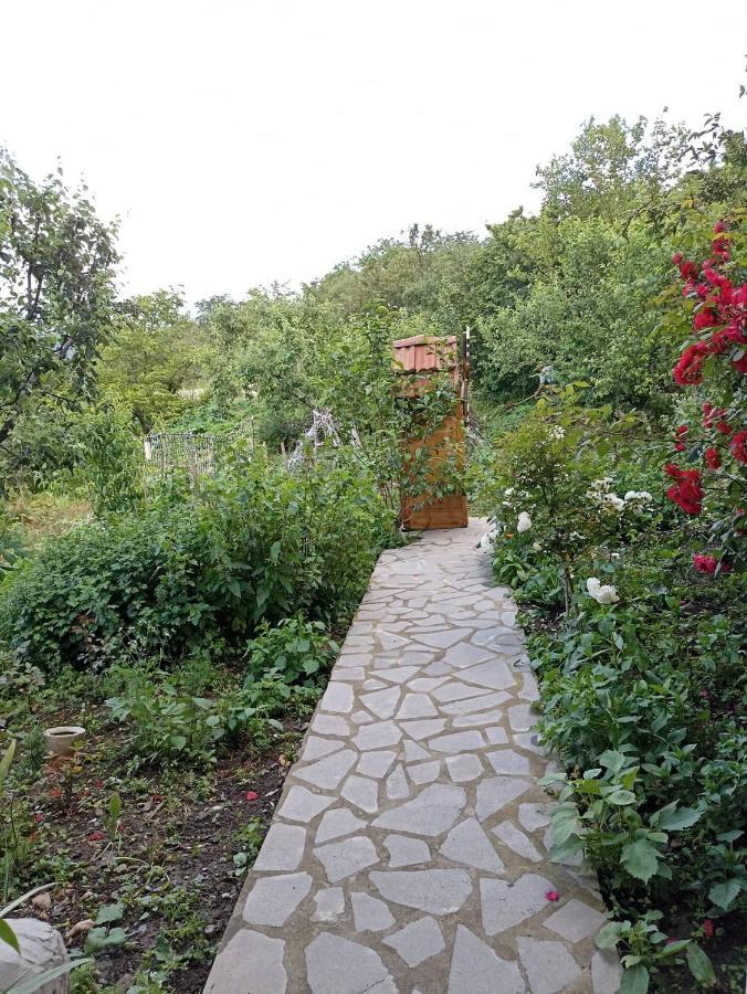 Amoj B&B And Guest House ألافيردي المظهر الخارجي الصورة