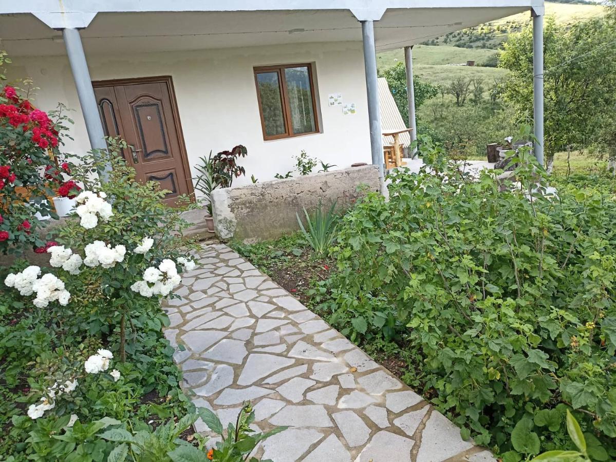 Amoj B&B And Guest House ألافيردي المظهر الخارجي الصورة